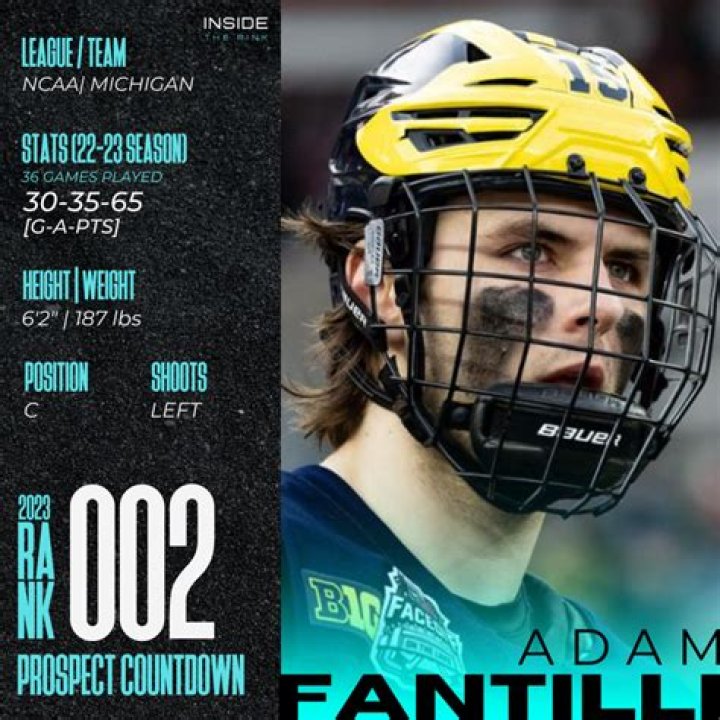 
Adam Fantilli Height, Weight, Net Worth, Age, Birthday, Wikipedia, Who, Instagram, Biography 