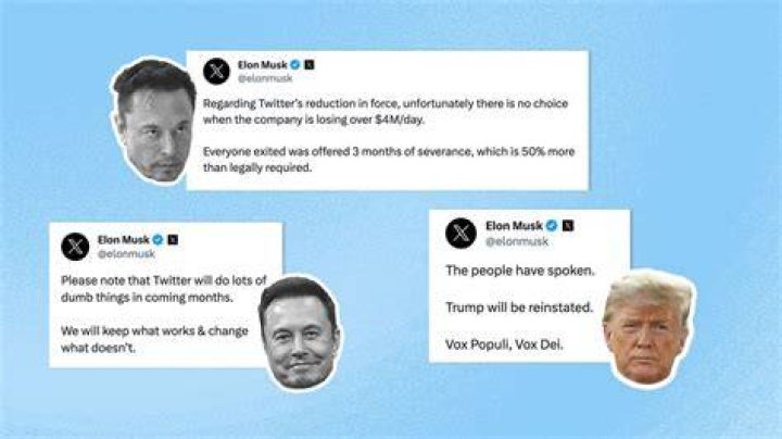 
Angela Belcamino’s Recent Tweet About Musk Goes Viral, Here Is What She Said 
