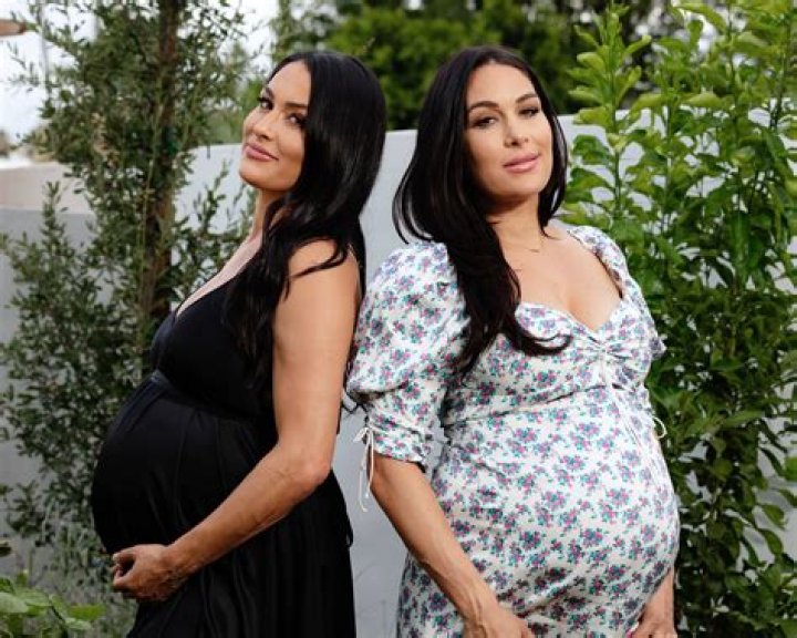 
Is Brie Bella Pregnant Again 2022? Baby Update – Partner And Family 