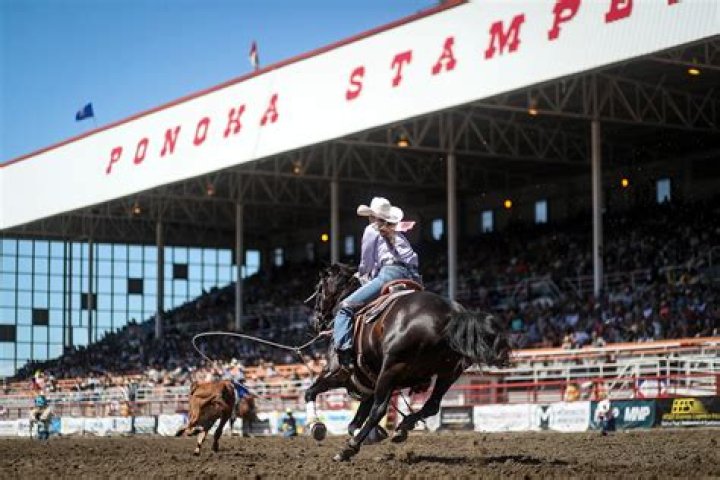 
Ponoka Stampede Accident: Female Volunteer Was Killed By Horses In Central Alberta Rodeo 
